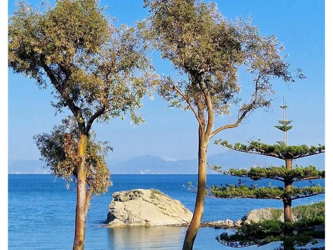 Villa Eden Agropoli Zewnętrze zdjęcie